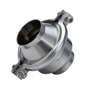 Check Valve with Welded End