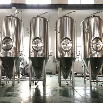 Stainless Steel Fermenter Tank